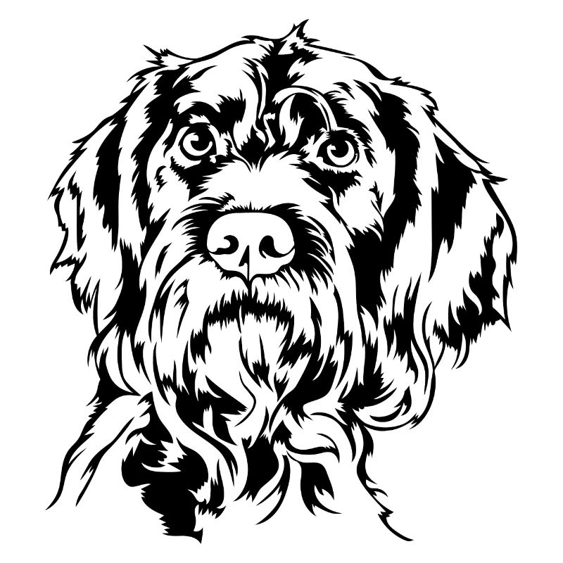 Deutsch Drahthaar Portrait Jagdhunde Hund Wilsigns