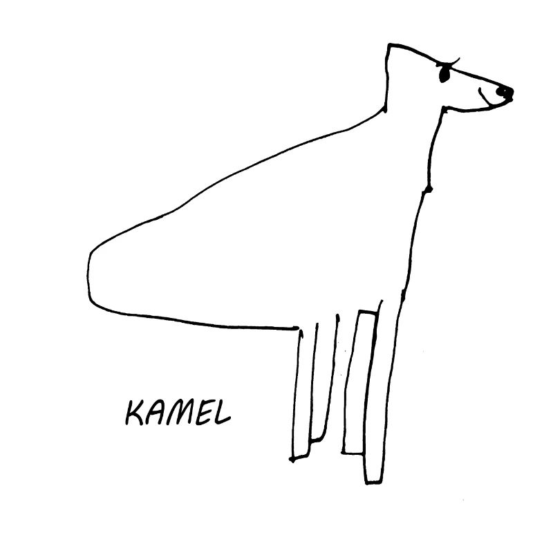 kamel