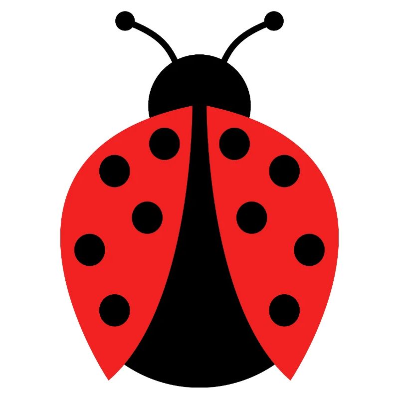 ladybug