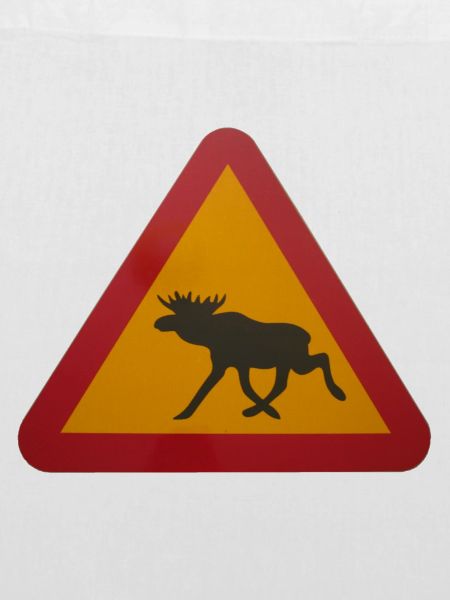 Warnschild Elch