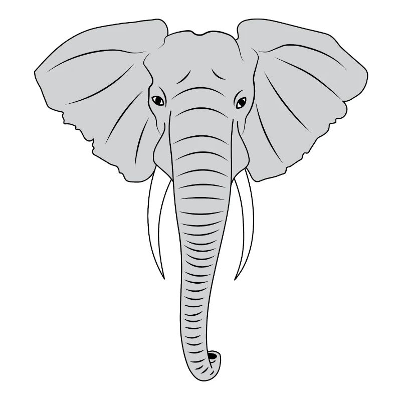 Éléphant