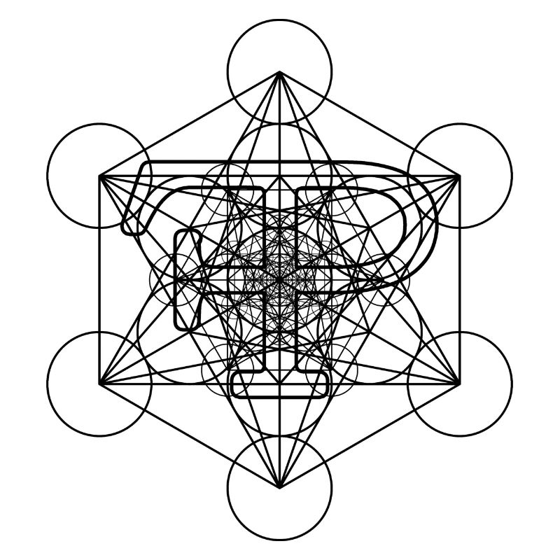 FramePace Metatron's Cube Schwarz