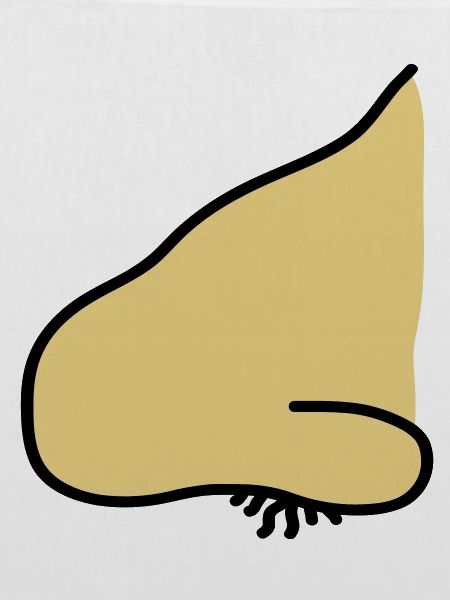 nose