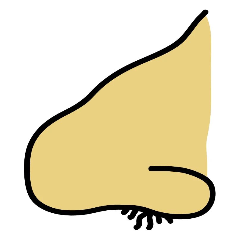 nose