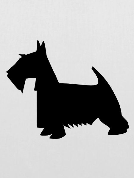 black scottish terrier