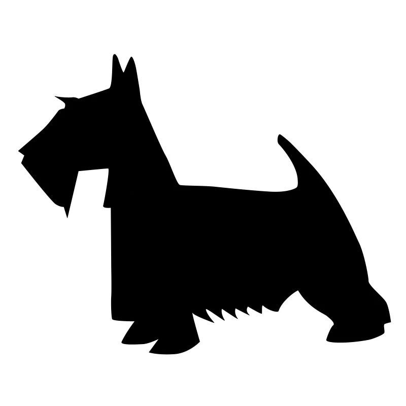 terrier écossais noir