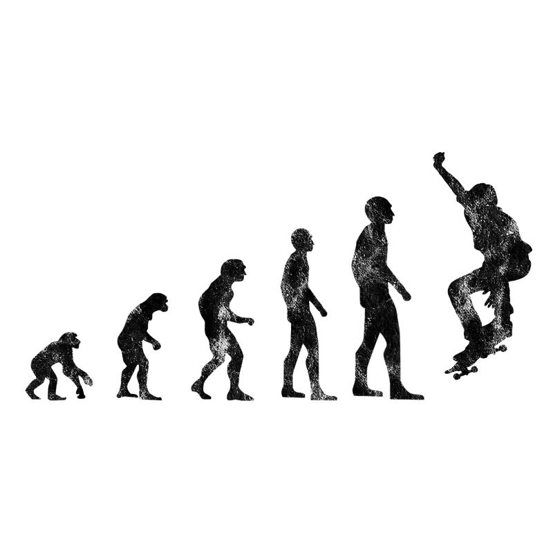 Evolution Skateboarder Skateboard Skater Skate
