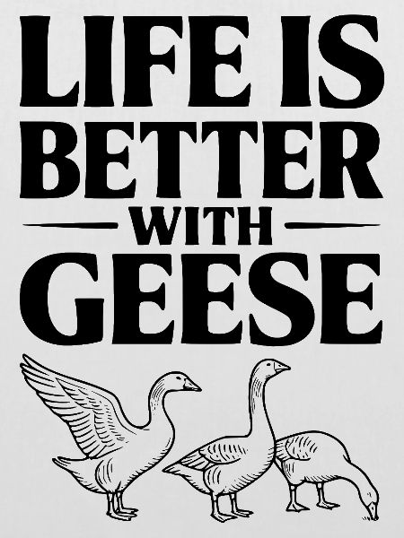 Das Leben ist besser mit Gänsen