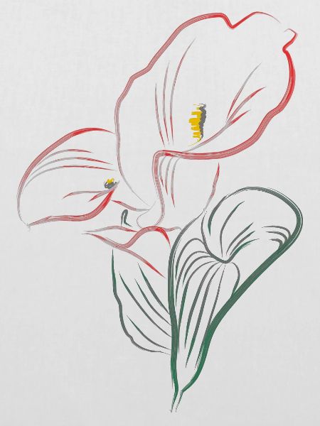 CALLA mix Rot-Pink