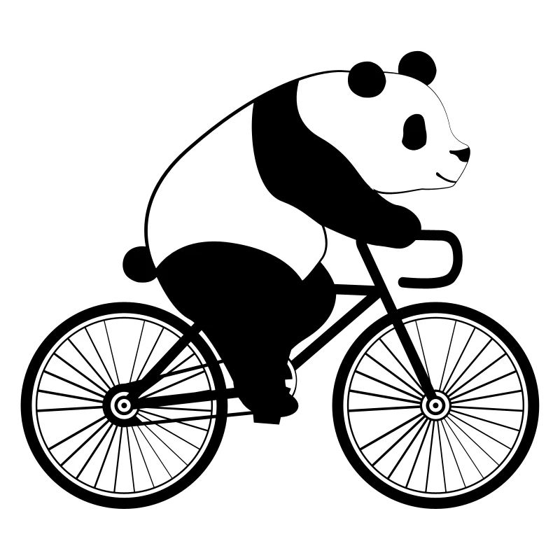 Panda Bicycle