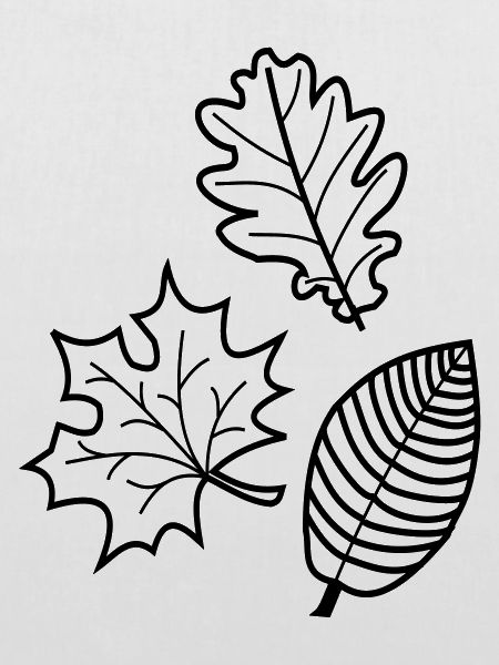 Herbstblätter