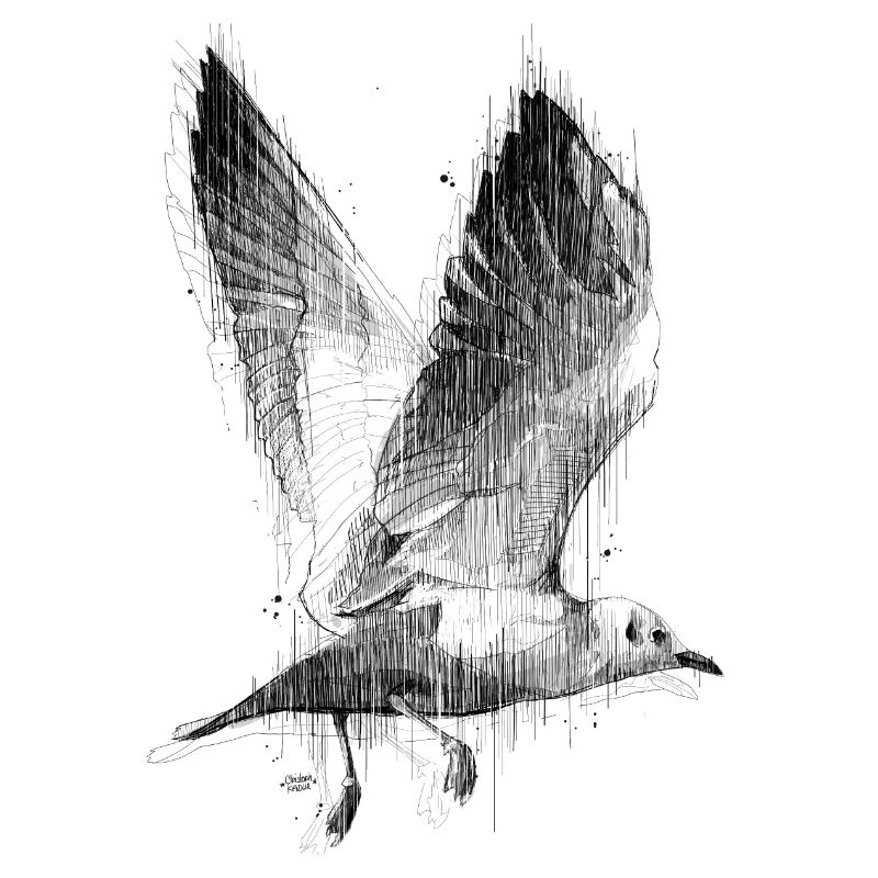 Möwe im Aufbruch