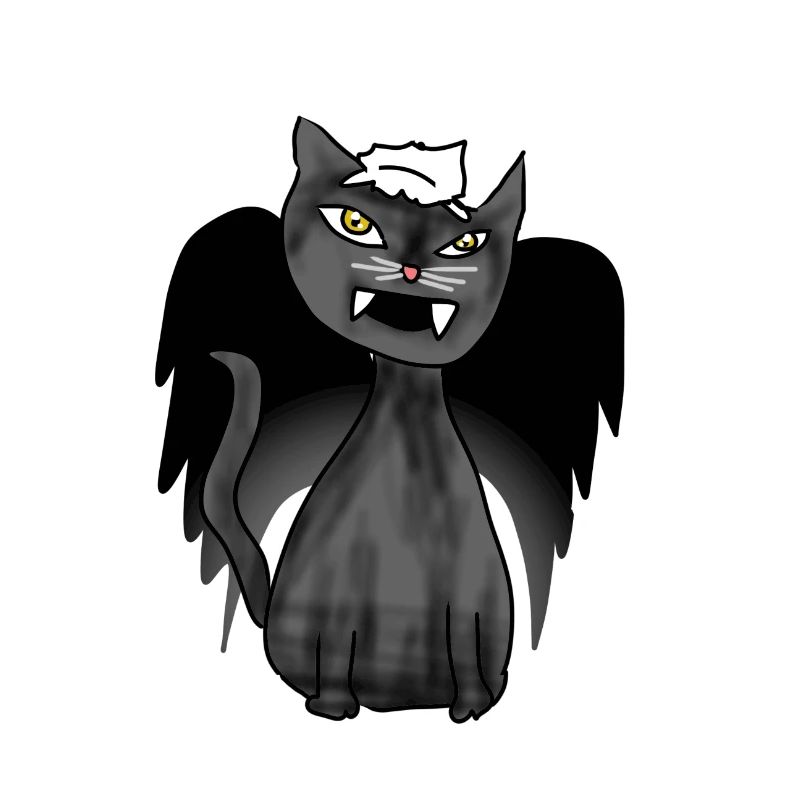 Die schwarze Katze