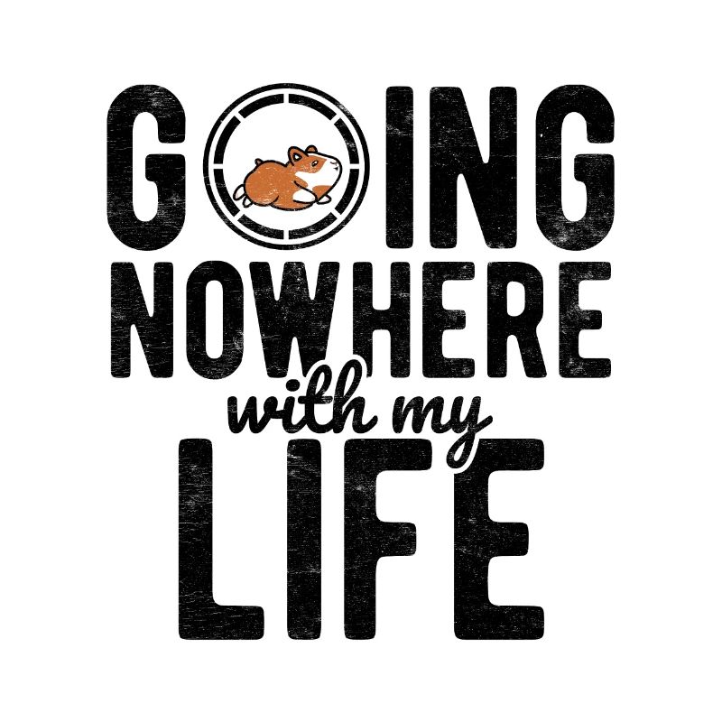 Nagetier Hamster