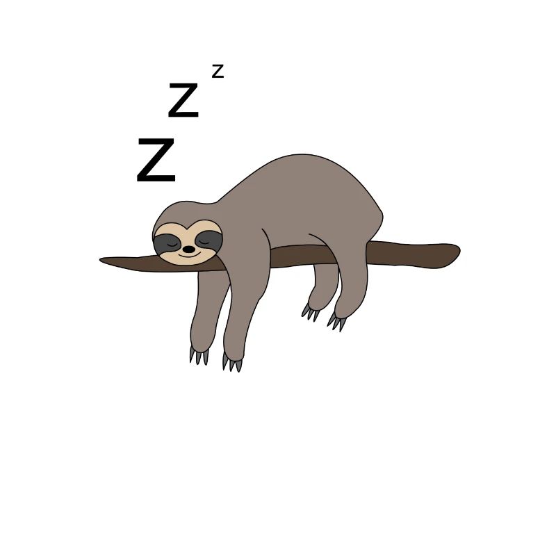 Sloth sleeping