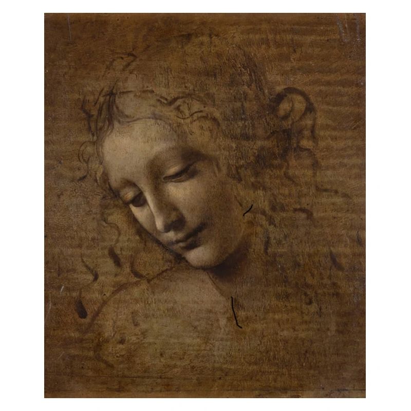 leonardo davinci