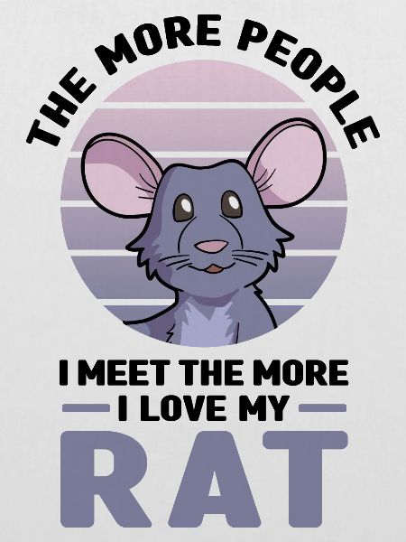 Ratte als Haustier