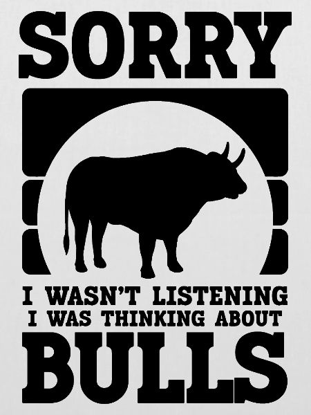 Stier Spruch Humor