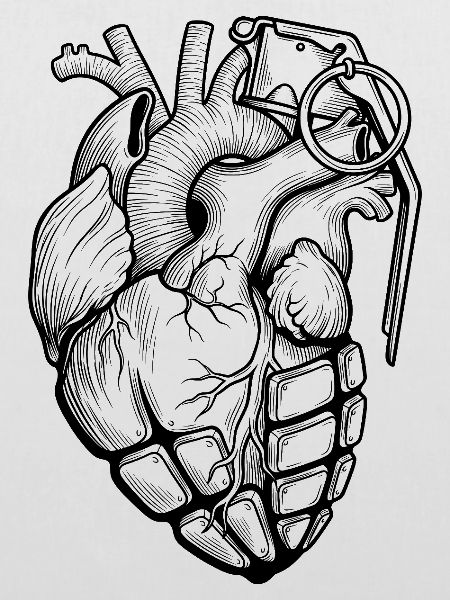 Anatomische grenade_coeur_