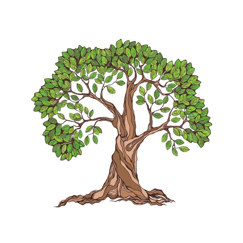 Green Old Tree