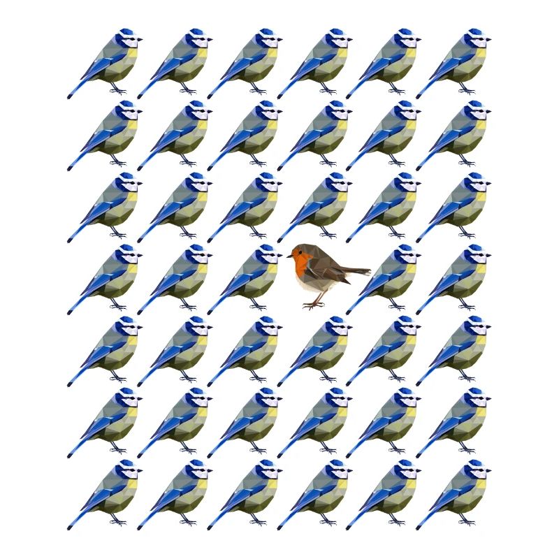 sei anders Blaumeise Rotkehlchen Vogel Muster