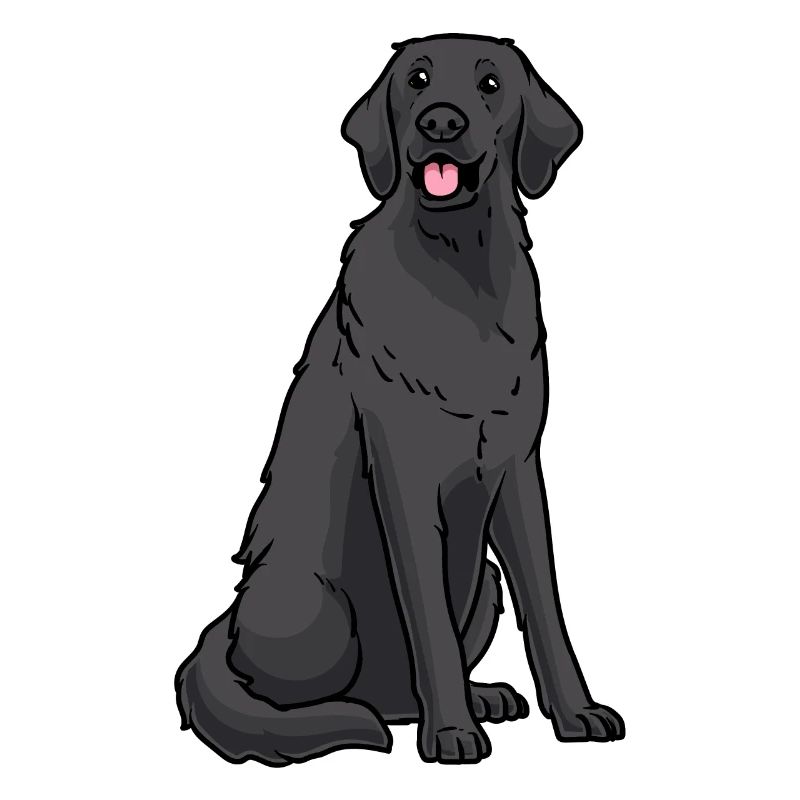 Flat Coated Retriever Hund