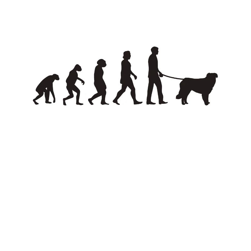 Kuvasz Evolution