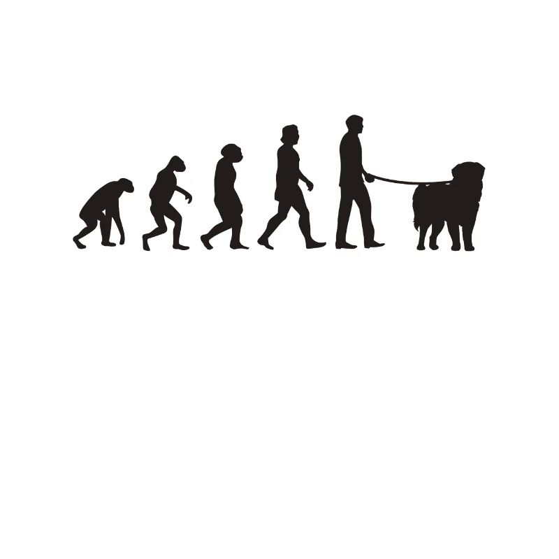 Leonberger Evolution