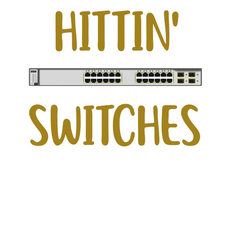 Hittin Switches Network Systems Engineer IT Tech