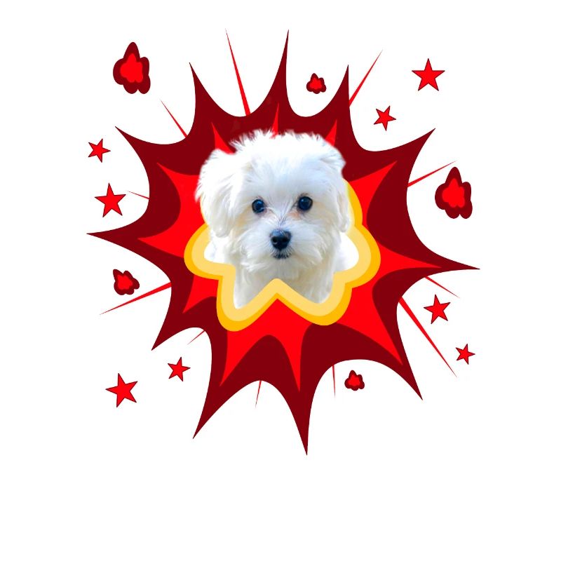 Comic Hund Design - Pow - Malteser