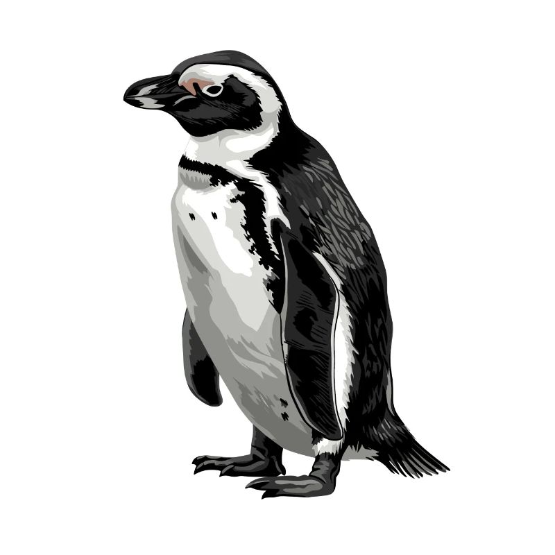 Pinguin