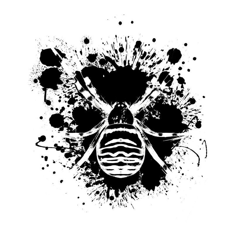 Spinne Gefahr - Spinnennetz