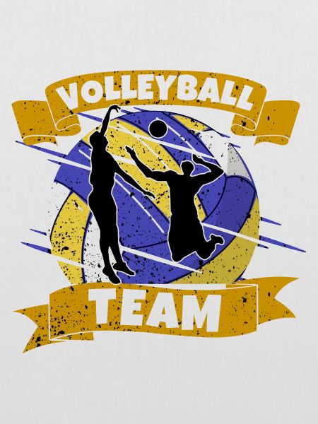 Volleyball team