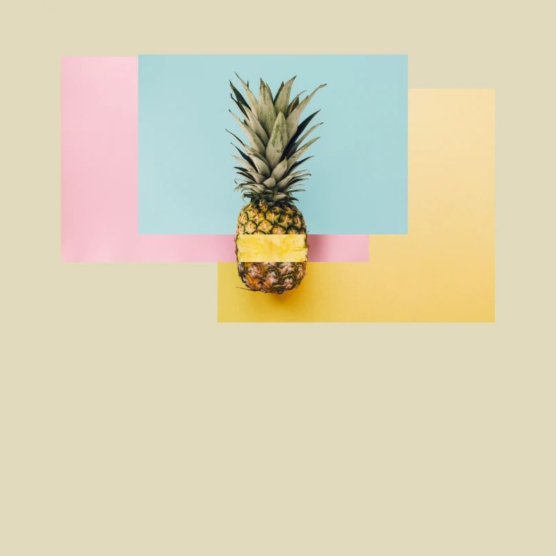 Bunte Ananas / Geschenk Idee