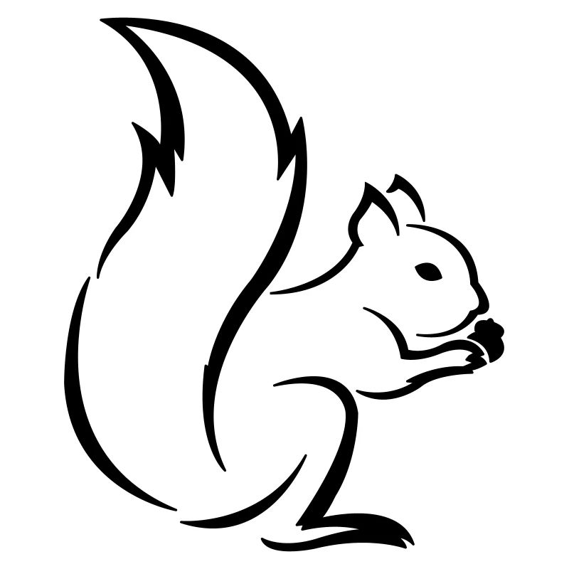 Eichhörnchen