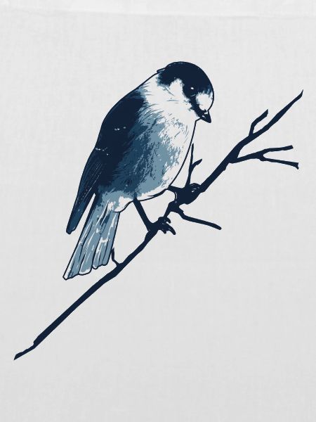 Spatz auf Ast