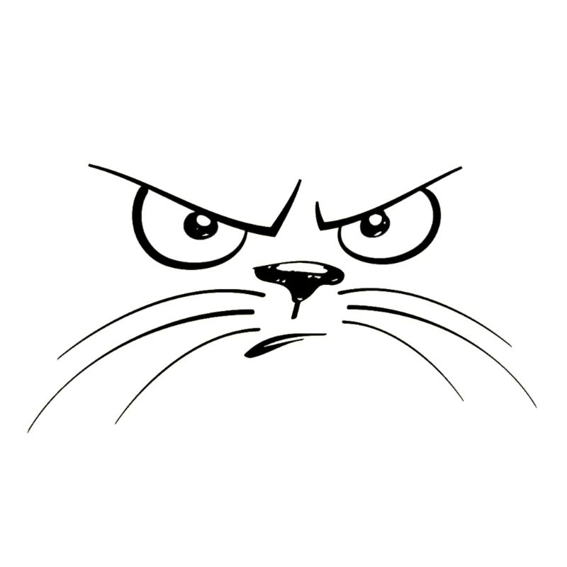 katzengesicht