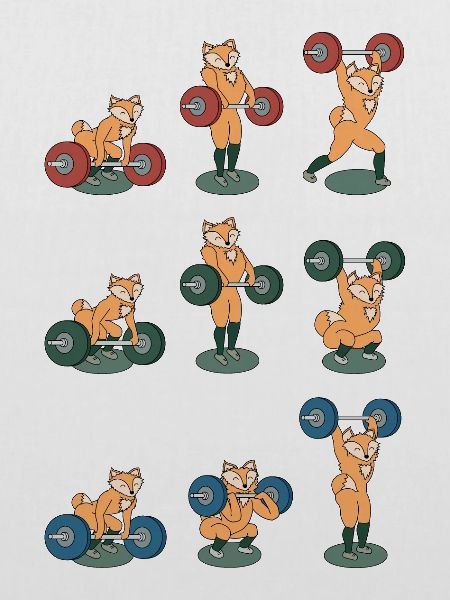 Gewichtheber Fuchs: Clean&Jerk, Snatch, Thruster