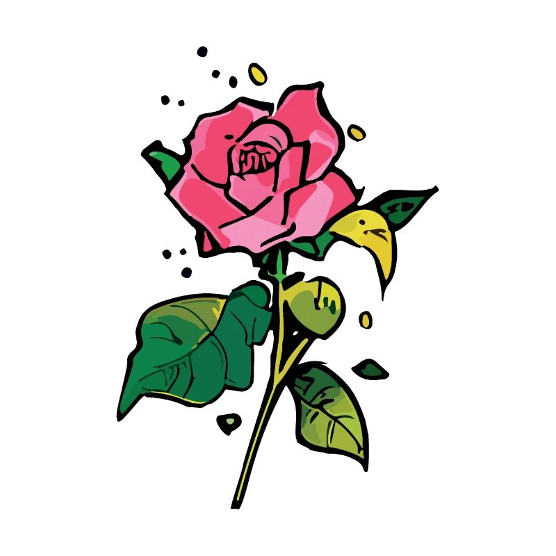 Eine hübsche Rose