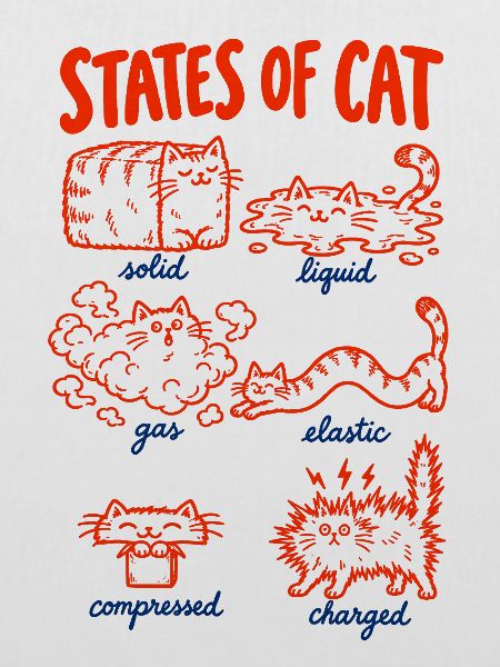 Katzenphysik – Zustände der Katze
