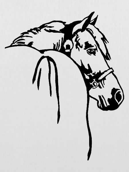 Westernpferd mit Halfter