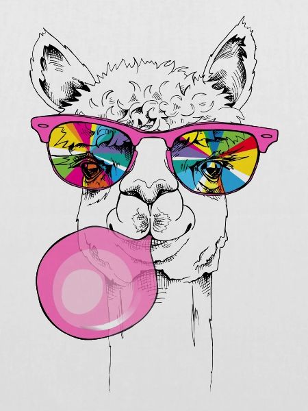 Cooles Lama