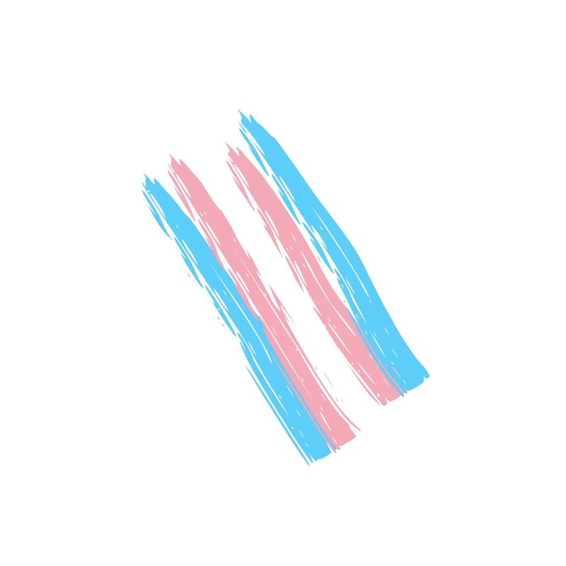 drapeau trans Pride