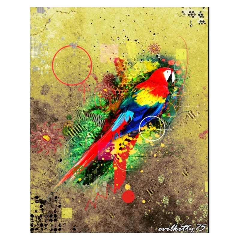 Vogel-Graffiti
