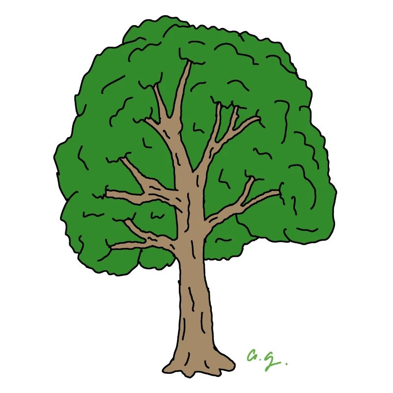 Baum