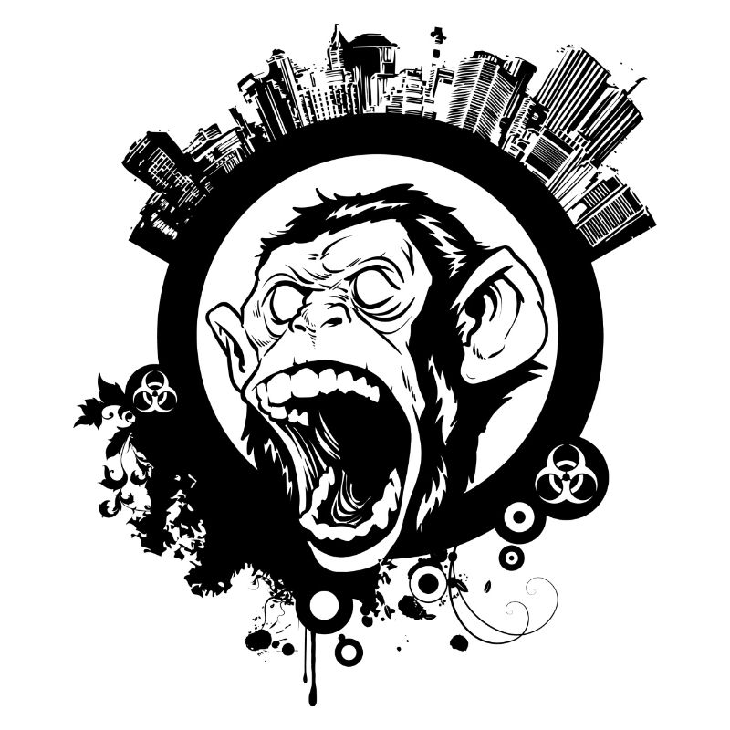 urban, monkey, monkey