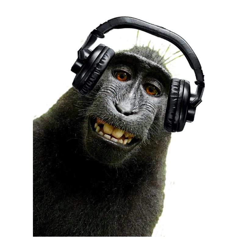 Hemd Monkey Music von Custom
