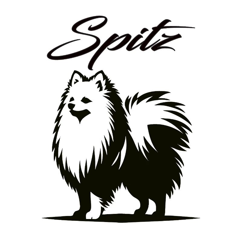 Spitz Design – Der charmante Wirbelwind