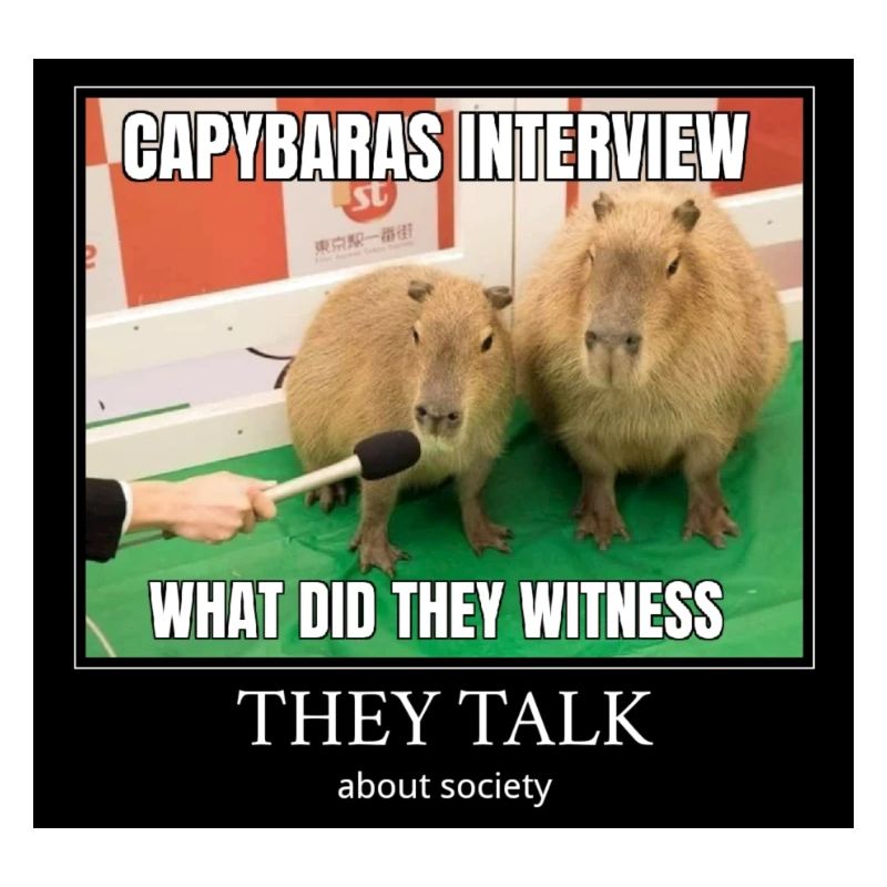 Capybara Interview meme