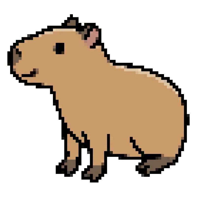 pixelcapybara